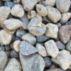 River Rock - Image 2