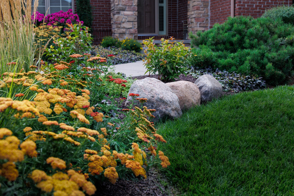 A beautifully landscaped front yard with vibrant yellow and orange flowers, natural stone accents, and lush green shrubs and grass.