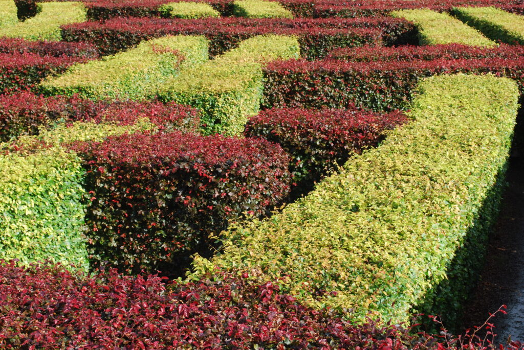 Intricately designed hedge rows featuring vibrant green and red foliage.