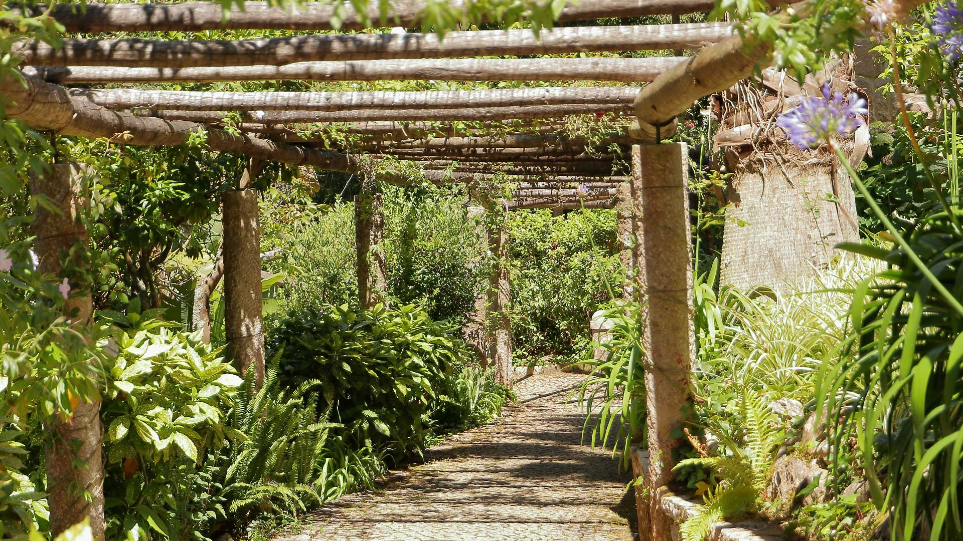 A stone pathway shaded by a wooden pergola, surrounded by lush greenery and vibrant plants in a serene park.